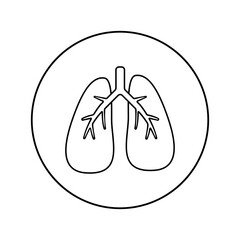 Fototapeta premium Lungs linear icon. Medicine, pulmonology