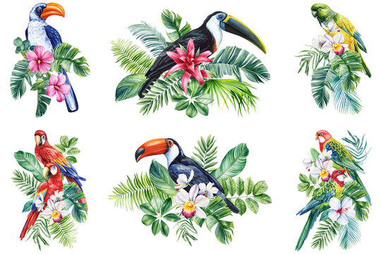 Set of tropical bird watercolor illustration hand drawing, parrot, flowers and palm leaf in isolated white background