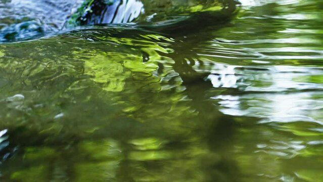 Natural clear water flows over the edge of the rock