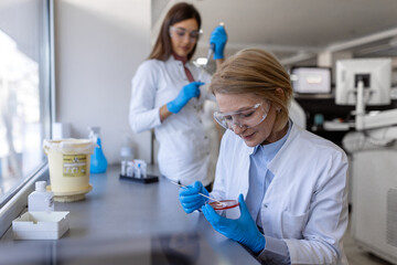Modern Medical Research Laboratory: Two Scientists Working Together Analysing Chemicals in...