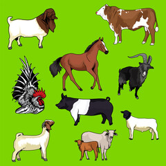 various farm animals illustration vector design