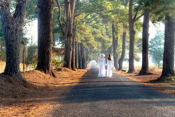 Two girls in traditional dress is walking on the road with two rows of pine trees which were planted nearly 100 years at Pleiku Town, Gia Lai Province, Vietnam