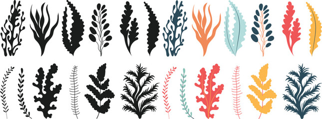 seaweed set on white background vector