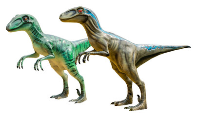Obraz premium Velociraptor (Raptor) is a carnivore genus of small dromaeosaurid dinosaur that lived in Asia during the Late Cretaceous epoch, Velociraptor (Raptor) with transparent background