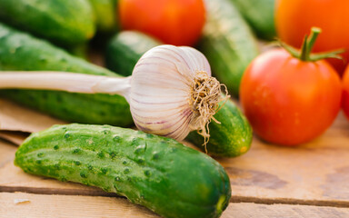 Fresh vegetables on a wooden background. Cucumbers, tomatoes, garlic, dill. Contoured sunlight. Organic farm. Organic vegetables. Summer harvest.