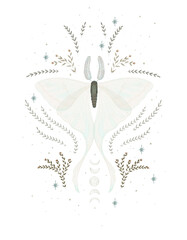 magical forest elements. images of a snake, night moth, fly agaric mushrooms, plant and space elements. Ideal for printing on fabric or clothing, wallpaper and wrapping paper