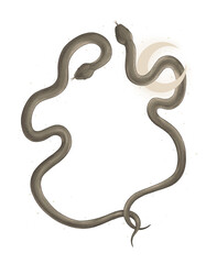 magical forest elements. images of a snake, night moth, fly agaric mushrooms, plant and space elements. Ideal for printing on fabric or clothing, wallpaper and wrapping paper