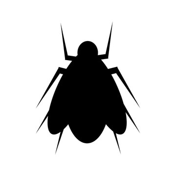 Black and white silhouette of a fly. Bluebottle isolated on white background. Hand drawing of simple black bee.