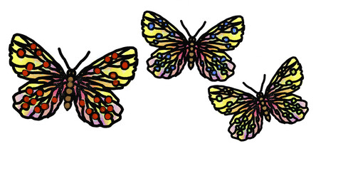 Fototapeta na wymiar Schmetterlinge
