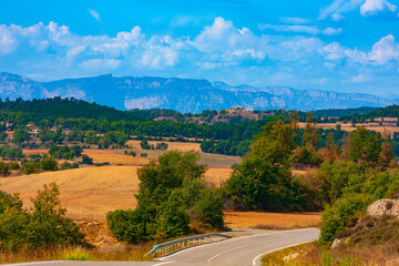 Obraz premium Summer landscape. View of the road