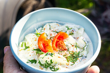 Gurken Rahm Salat erfrischend im Frühling Sommer draussen fotografiert 