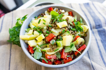 Bunter Linsen Salat mit Gemüse und Käse 