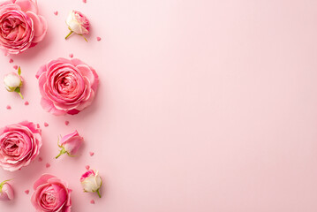 Women's Day concept. Top view photo of pink peony rose buds and sprinkles on isolated pastel pink...