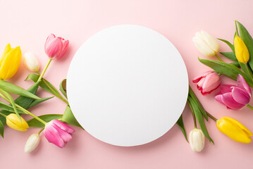 Spring concept. Top view photo of white circle and colorful fresh tulips on isolated pastel pink background with copyspace
