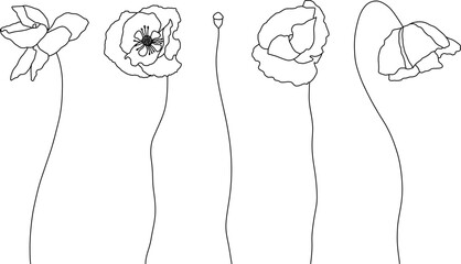 Set of poppies, poppy flowers and logo. Trendy botanical lineart elements. Hand drawn line leaves, branches and blooming. Wedding elegant flowers for invitation, save the date, card. Vector linear des