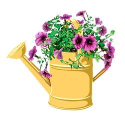 vector illustration of a garden watering can in which a petunia is planted. bright summer, spring illustration - obrazy, fototapety, plakaty