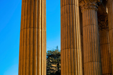 Tall colloseum pillars with vertical ridges and background trees with clear blue sky on temple or...