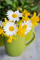Spring Still Life With Flowers In A Cup - 581720296