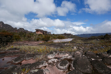 Landscape with black sandstone rocks on the plateau of Auyan Tepui, Venezuela