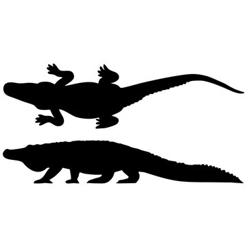 silhouette crocodile