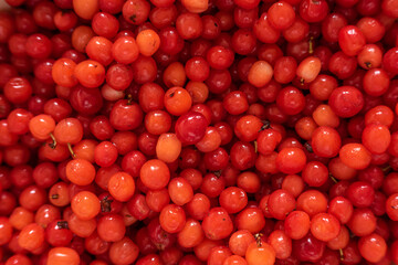 Natural looking cherry. Selective focus.