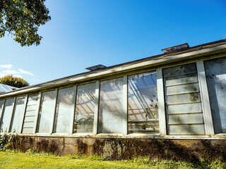 Old abandoned glass house in park.
