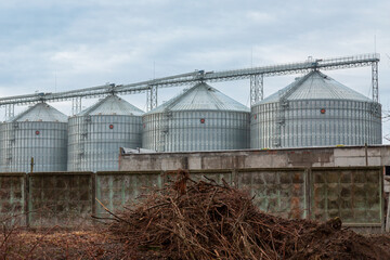 Obraz premium agro silos granary elevator with seeds cleaning line on agro-processing manufacturing plant for processing drying cleaning and storage of agricultural products .
