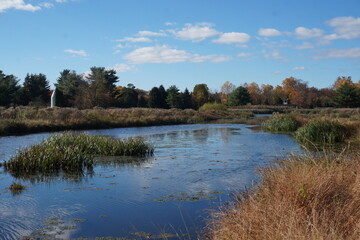 Fototapeta na wymiar Pond Water and Wetlands Surrounded by Fall Colored Trees and Blue Sky