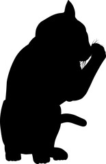 Silhouette Cat Pet Animal