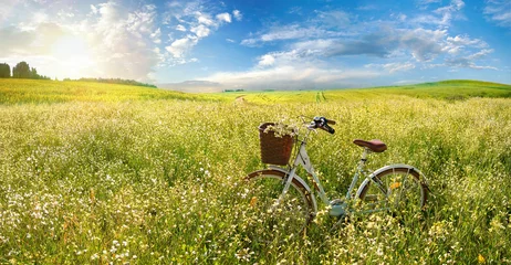 Wall murals Bike Beautiful spring summer natural landscape with a bicycle on a flowering meadow against a blue sky with clouds on a bright sunny day.