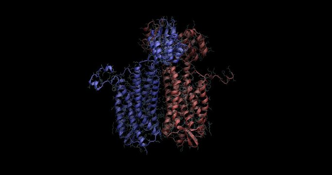 CXCR4 chemokine receptor, metastasis anticancer and anti-HIV drug target, 3D molecule spinning, 4K