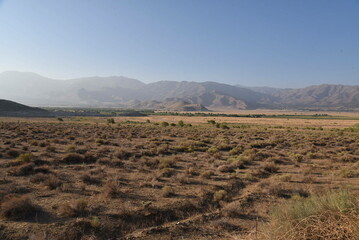 Dry grass field with mountains in the back and haze atmospheric perspective