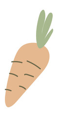 Cute carrot