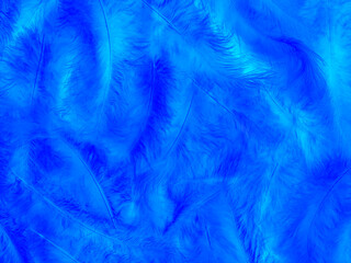 abstract textured background delicate blue beautiful feathers