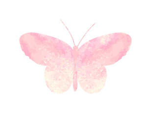 positive quote butterfly pink flower rose and daisies watercolor hand drawn design