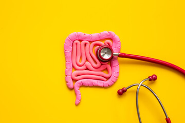 Digestive colon system health concept. Intestines shape made of plasticine with stethoscope