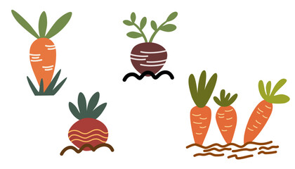 Seedlings in the ground. Carrots, radishes, beets grow in the ground. Harvesting, agriculture, farm. Vector hand draw illustration isolated on the white background. 