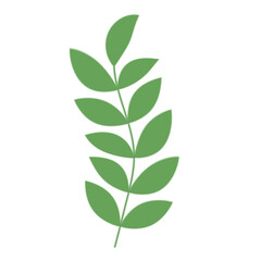 Green Leaf Illustration
