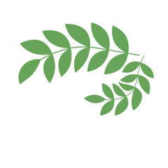 Naklejka premium Green Leaf Illustration 