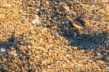 Close-up view of the pebbles on the beach