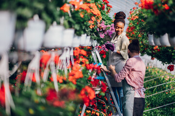Multiracial couple of gardeners working in a greenhouse and using ladder