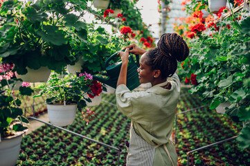 African american woman working in a greenhouse and using watering can