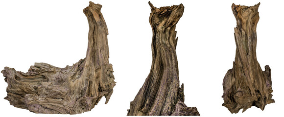 collection of a piece of a root / trunk river wood, driftwood, natural wood, plant root, mangrove wood isolated on transparent background png image compositing footage alpha channel