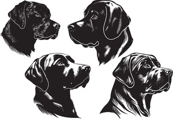 black and white dogs - obrazy, fototapety, plakaty