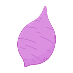 Obraz premium Taro isolated on white background. Vector illustration.