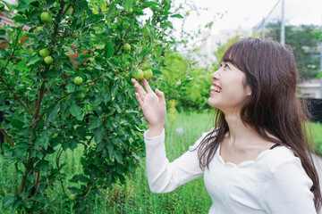 果物狩り・収穫