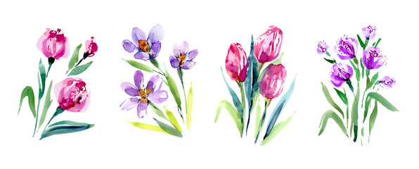 Fototapeta na wymiar Tulips and crocuses. A set of watercolor flowers on a white background. Flower arrangements for the design of postcards, invitations, banners, labels