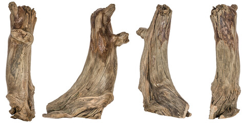 collection of a piece of a root / trunk river wood, driftwood, natural wood, plant root, mangrove wood isolated on transparent background png image compositing footage alpha channel