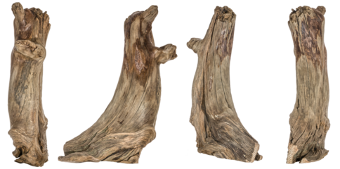 collection of a piece of a root / trunk river wood, driftwood, natural wood, plant root, mangrove wood isolated on transparent background png image compositing footage alpha channel