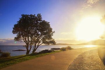 Sunrise over the beach in south west rocks Australia.Relaxing corner in the morning watching the sunrise.Beautiful view point.Beautiful view point watch the sunrise in the morning at South west rocks.